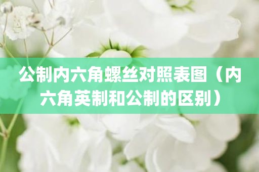 公制内六角螺丝对照表图（内六角英制和公制的区别）