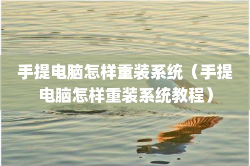 手提电脑怎样重装系统（手提电脑怎样重装系统教程）