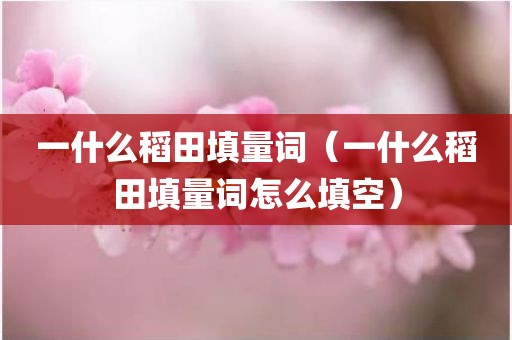 一什么稻田填量词（一什么稻田填量词怎么填空）