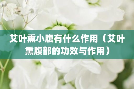 艾叶熏小腹有什么作用（艾叶熏腹部的功效与作用）