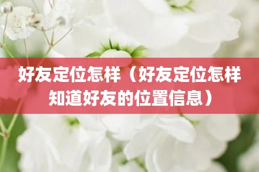 好友定位怎样（好友定位怎样知道好友的位置信息）