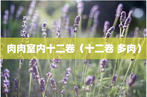 肉肉室内十二卷（十二卷 多肉）