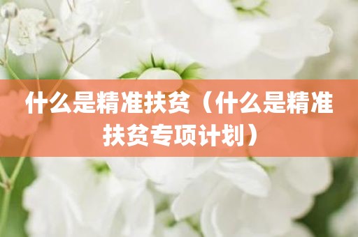 什么是精准扶贫（什么是精准扶贫专项计划）