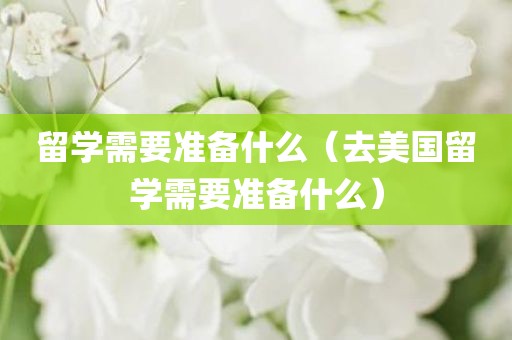 留学需要准备什么（去美国留学需要准备什么）