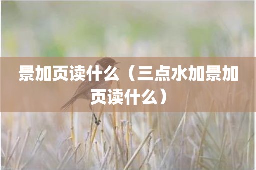 景加页读什么（三点水加景加页读什么）