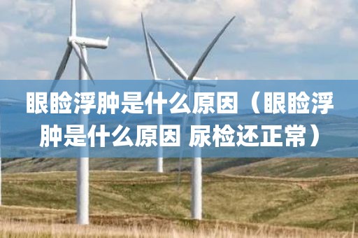 眼睑浮肿是什么原因（眼睑浮肿是什么原因 尿检还正常）