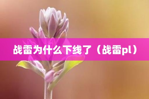 战雷为什么下线了(战雷pl)