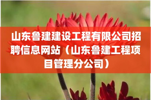 山东鲁建建设工程有限公司招聘信息网站(山东鲁建工程项目管理分公司) 山东鲁建建设工程有限公司招聘信息网站(山东鲁建工程项目管理分公司)