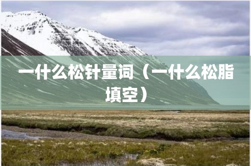 一什么松针量词（一什么松脂填空）