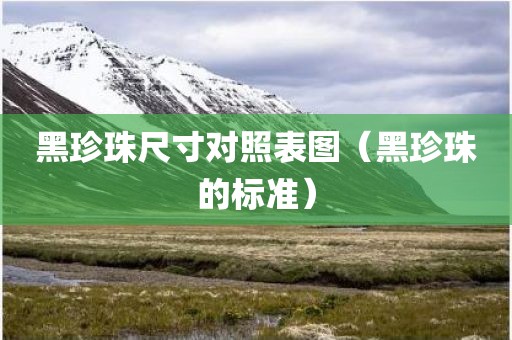 黑珍珠尺寸对照表图（黑珍珠的标准）
