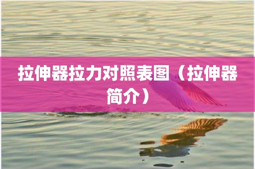 拉伸器拉力对照表图（拉伸器简介）