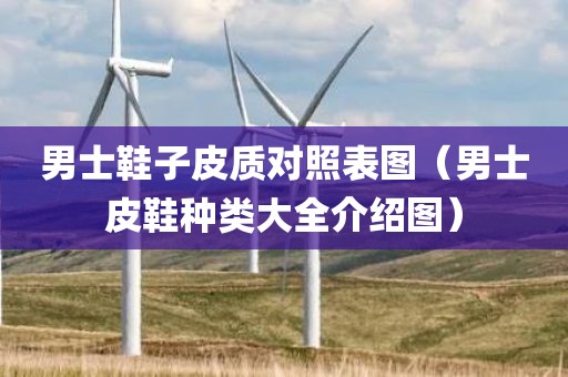 男士鞋子皮质对照表图（男士皮鞋种类大全介绍图）
