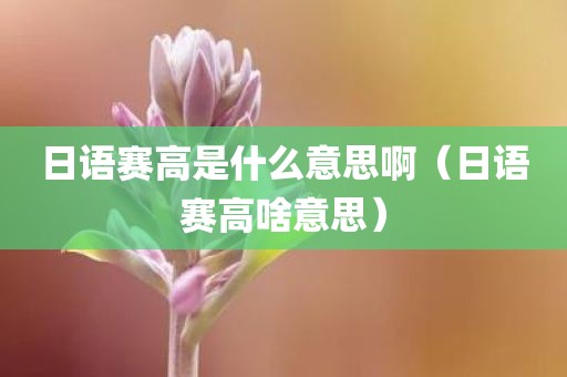 日语赛高是什么意思啊（日语赛高啥意思）