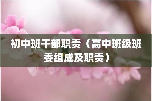 初中班干部职责(高中班级班委组成及职责)