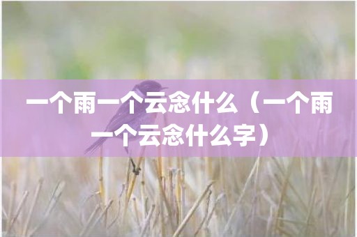 一个雨一个云念什么（一个雨一个云念什么字）
