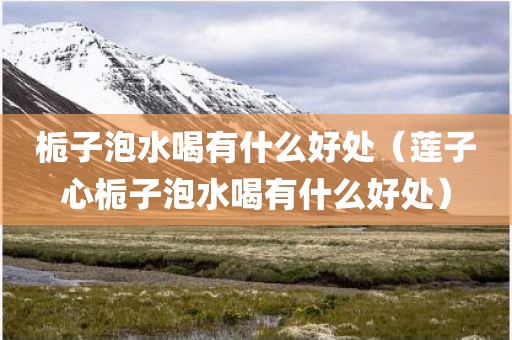 栀子泡水喝有什么好处（莲子心栀子泡水喝有什么好处）