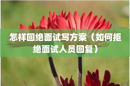 怎样回绝面试写方案（如何拒绝面试人员回复）