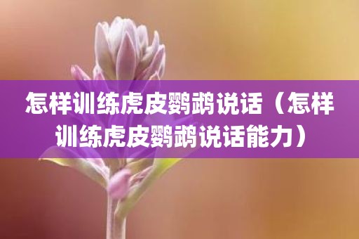 怎样训练虎皮鹦鹉说话（怎样训练虎皮鹦鹉说话能力）