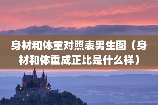 身材和体重对照表男生图（身材和体重成正比是什么样）