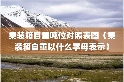 集装箱自重吨位对照表图（集装箱自重以什么字母表示）