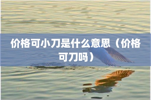 价格可小刀是什么意思（价格可刀吗）