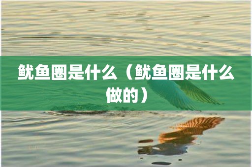 鱿鱼圈是什么（鱿鱼圈是什么做的）