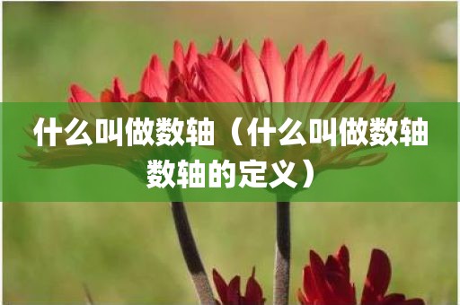 什么叫做数轴（什么叫做数轴数轴的定义）