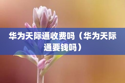 华为天际通收费吗（华为天际通要钱吗）