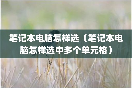 笔记本电脑怎样选（笔记本电脑怎样选中多个单元格）