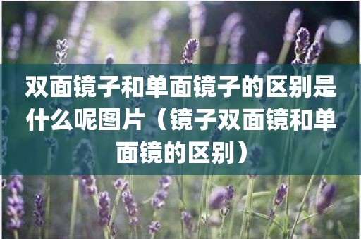 双面镜子和单面镜子的区别是什么呢图片（镜子双面镜和单面镜的区别）