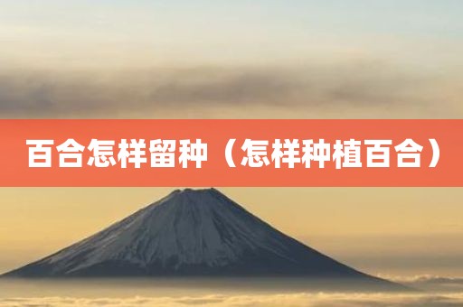 百合怎样留种（怎样种植百合）