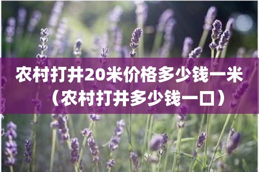 农村打井20米价格多少钱一米（农村打井多少钱一口）
