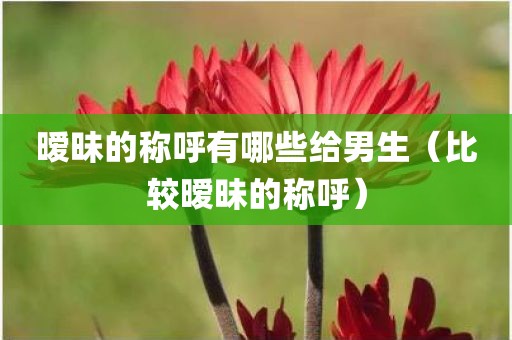 暧昧的称呼有哪些给男生（比较暧昧的称呼）