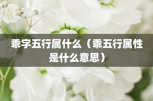 乖字五行属什么（乖五行属性是什么意思）
