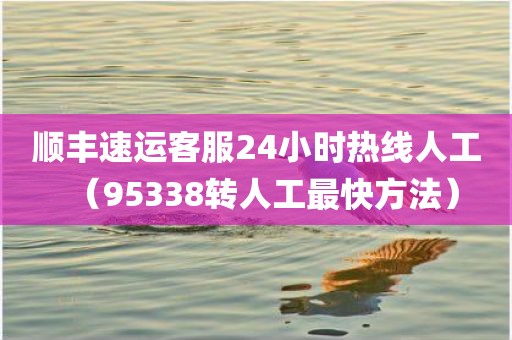 顺丰速运客服24小时热线人工(95338转人工最快方法)