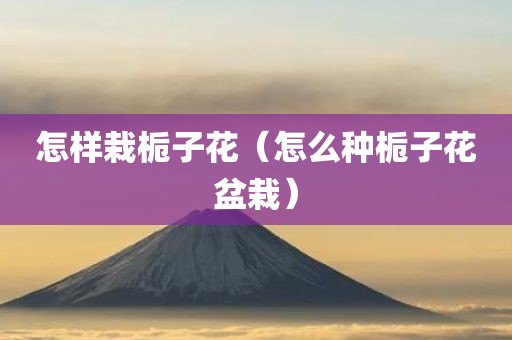怎样栽栀子花（怎么种栀子花盆栽）