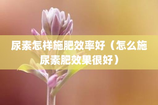 尿素怎样施肥效率好（怎么施尿素肥效果很好）