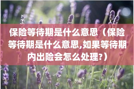 保险等待期是什么意思(保险等待期是什么意思,如果等待期内出险会怎么处理?)