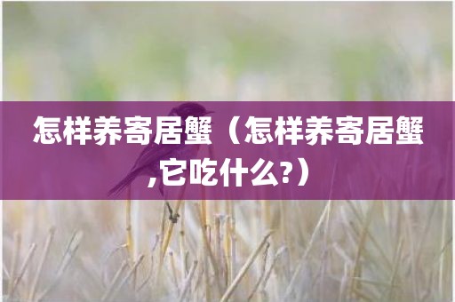 怎样养寄居蟹（怎样养寄居蟹,它吃什么?）