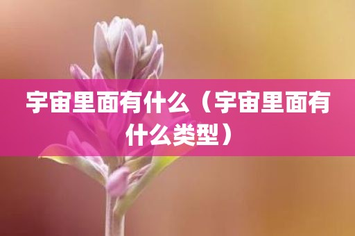 宇宙里面有什么（宇宙里面有什么类型）