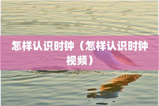 怎样认识时钟（怎样认识时钟视频）