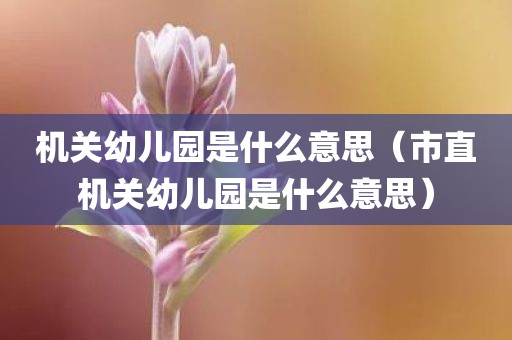 机关幼儿园是什么意思（市直机关幼儿园是什么意思）