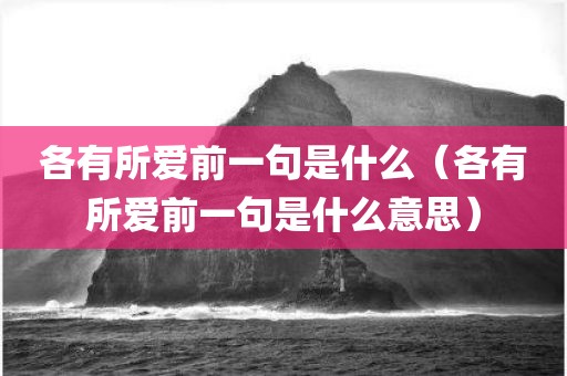 各有所爱前一句是什么（各有所爱前一句是什么意思）