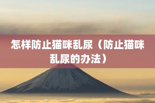 怎样防止猫咪乱尿（防止猫咪乱尿的办法）