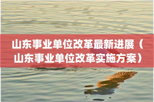 山东事业单位改革最新进展（山东事业单位改革实施方案）