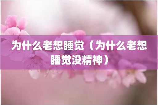 为什么老想睡觉（为什么老想睡觉没精神）