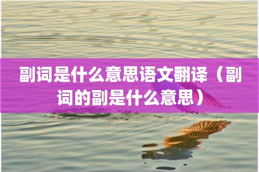 副词是什么意思语文翻译（副词的副是什么意思）