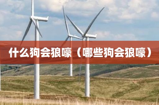 什么狗会狼嚎（哪些狗会狼嚎）