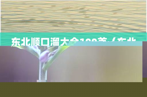 东北顺口溜大全100首（东北顺口溜大全100首歌）