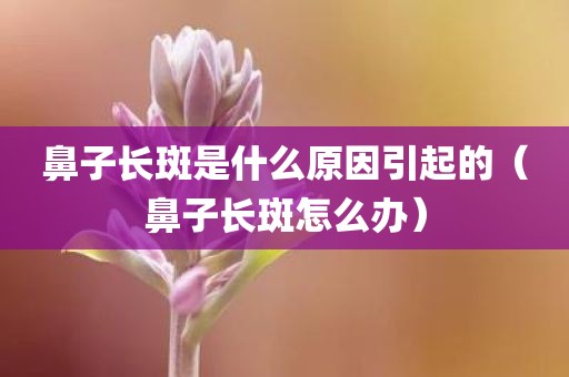 鼻子长斑是什么原因引起的（鼻子长斑怎么办）